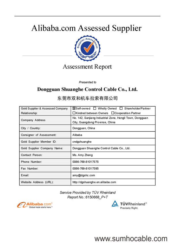 能力評(píng)估報(bào)告